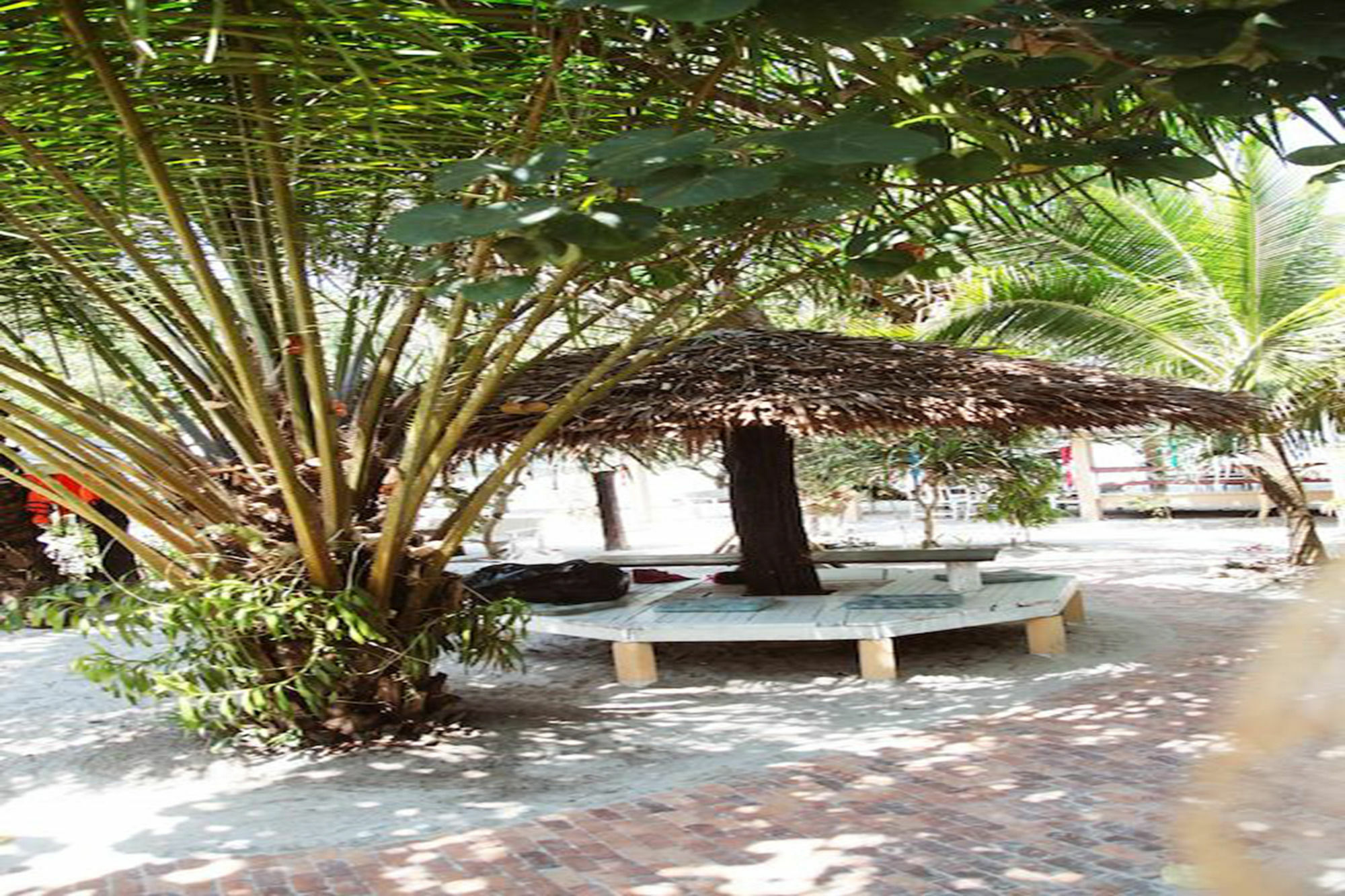 Vijit Bungalow Koh Phayam Exterior photo